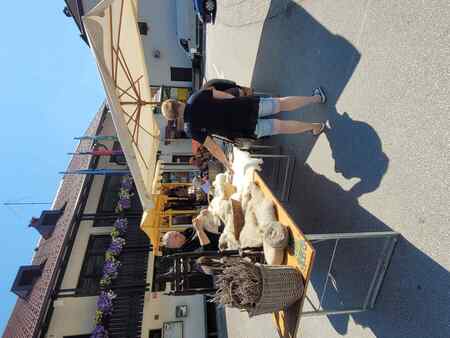 54. Lučki dan: Od štanta do štanta